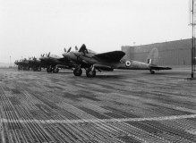 mossie_line_2