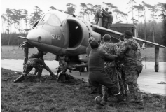 197x_john_hickie_field_01