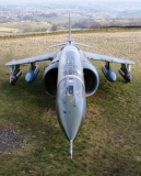 2011_01_06_cw_Harrier XW269-05