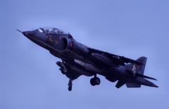 aw_1977_09_t2_wild_1