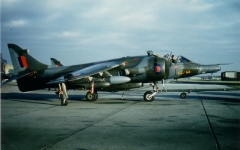 mt_Steve_Forwards_GR3_1