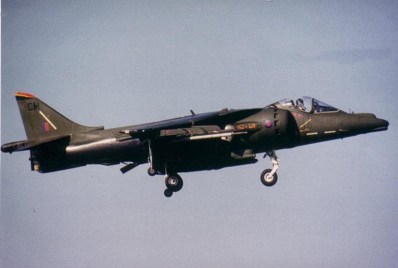 mt_GR7_CM_4_Sqn_Cabrio_Bird_Damage