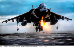 2011_07_07_harrier_DT