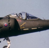 mt_GR7_CM_4_Sqn_Cabrio_Bird_Damage_detail