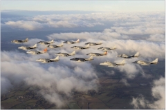 2010_12_15_MoD_final-harrier-03-1280