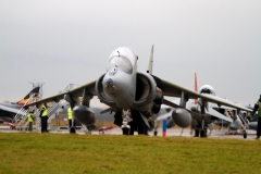 2010_12_15_harrier_final_14