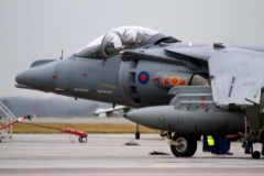 2010_12_15_harrier_final_20
