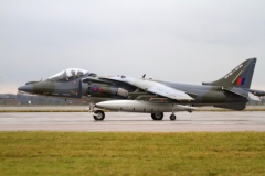 2010_12_15_harrier_final_21