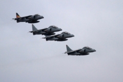 2010_12_15_harrier_final_31