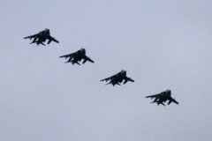 2010_12_15_harrier_final_34