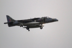 2010_12_15_harrier_final_41