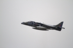 2010_12_15_harrier_final_43