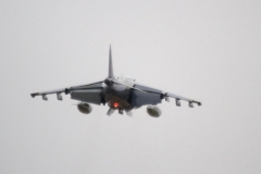 2010_12_15_harrier_final_44