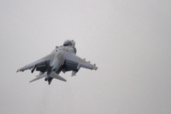 2010_12_15_harrier_final_45