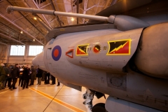 2010_12_15_harrier_final_05