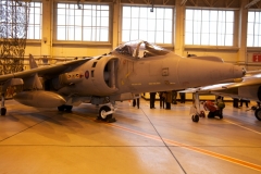 2010_12_15_harrier_final_07