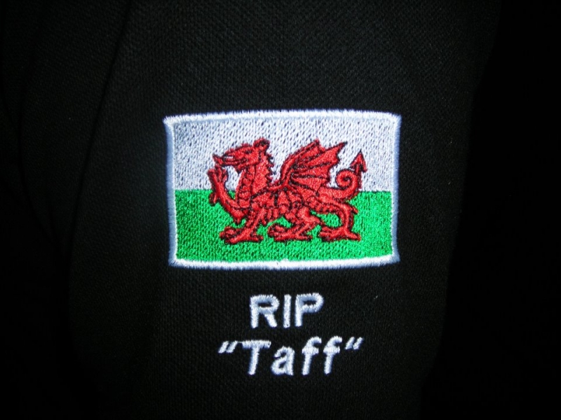 2013_stamford_hear_3_Ade_Bushell_Taffs lament HEAR3