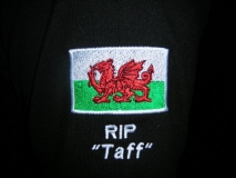 2013_stamford_hear_3_Ade_Bushell_Taffs lament HEAR3