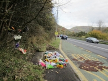 2012_11_01_AdeB_Taff_Evans-02